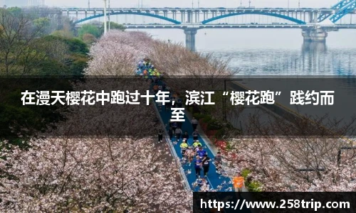 在漫天樱花中跑过十年，滨江“樱花跑”践约而至